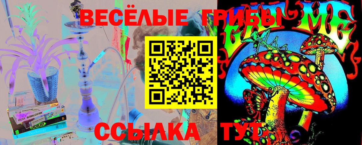 Галлюциногенные грибы Magic Shrooms Алексеевка