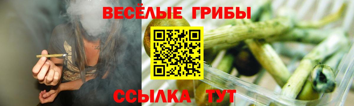 Галлюциногенные грибы Magic Shrooms  Псилоцибиновые грибы MAGIC MUSHROOMS  Вход с VPN  Алексеевка 